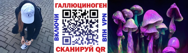 Псилоцибиновые грибы GOLDEN TEACHER  купить наркотики цена  Ялта 